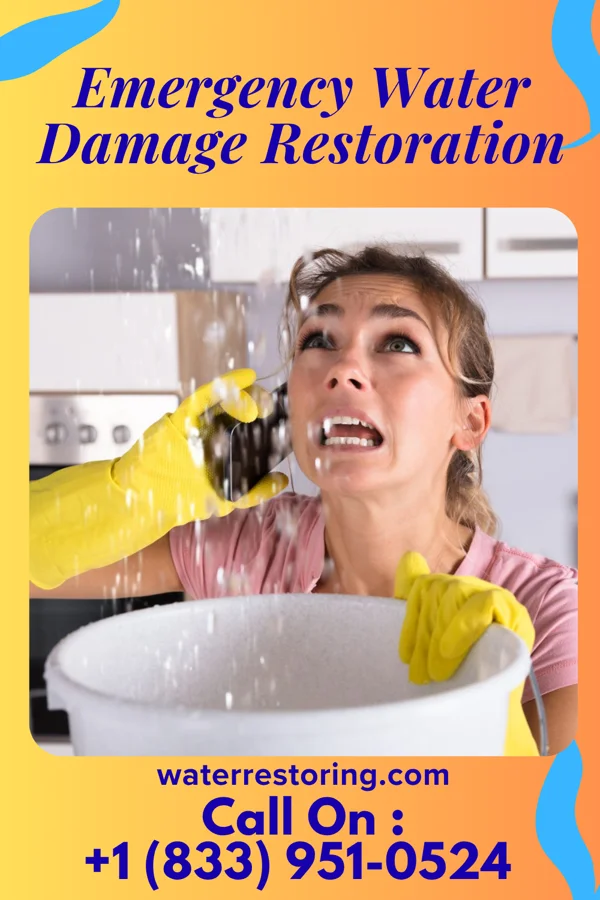 Emergency Water Damage Restoration in Spencerville, NM