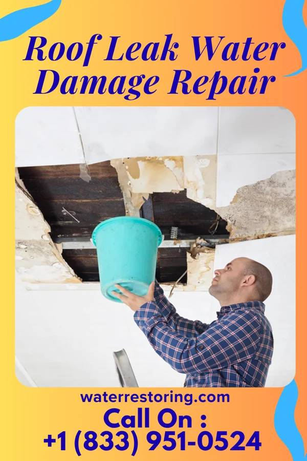 Roof Leak Water Damage Repair in Spencerville, NM